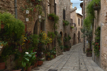 Fototapeta na wymiar Flowers in ancient street. Spello is located in Umbria region, Italy