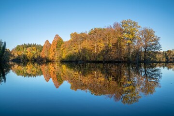 Beautiful view of yellow autumn foliage reflected in Lake Bensberg on a bright day in Germany