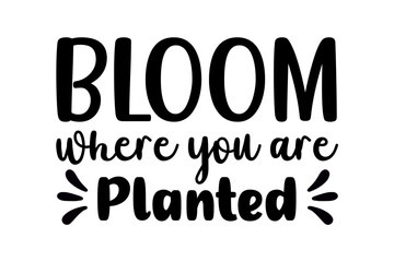 bloom where you are planted