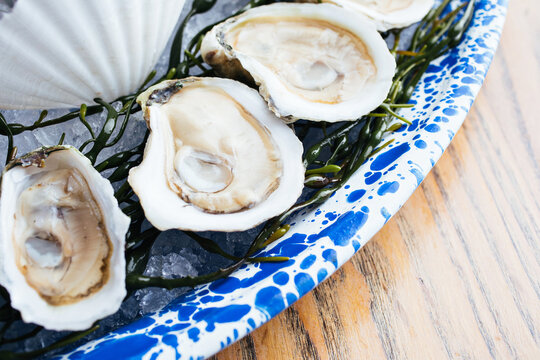 Enjoying Raw Oysters 