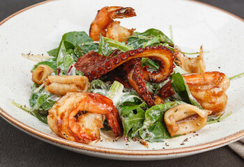 Grilled octopus, squid and prawn salad, arugula leaves  with mixed salad in a plate. Shallow depth of field
