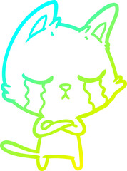 cold gradient line drawing crying cartoon cat
