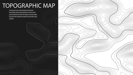 Topographic map for abstract background or wallpaper and design. Gray outlines on a light background. Vector illustration.