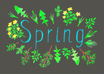 Illustration of spring word decorated with plants, flowers and branches hand drawn with colored pencils isolated on dark background