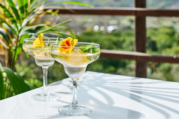 Iced lemonade with edible nasturtium flowers, lime and mint leaves. Refreshing summer drink. Healthy organic summer soda drink. Detox water. Diet unalcolic coctail.