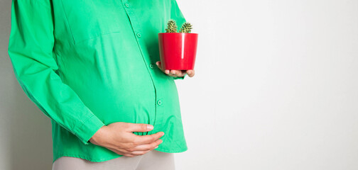 A pregnant girl holds a red pot with a cactus against the background of her belly. The concept of...