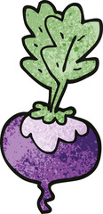cartoon doodle beetroot