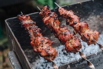 Head skewers on a metal skewer. Marinated pork skewers. BBQ meat. Barbecue party. Close-up with shallow depth of field.