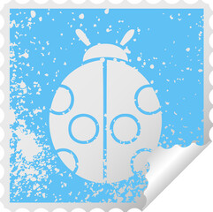 distressed square peeling sticker symbol lady bug