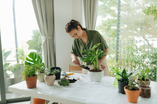 Young woman taking care of her plant at home