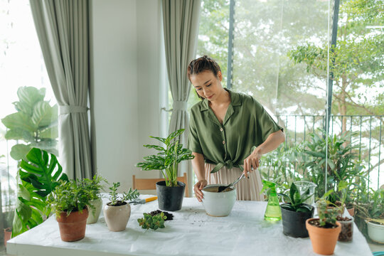 A woman is gardening near the window of the house, replanting a