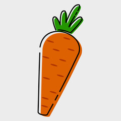 This is a vector of carrot that drawn by MBE models.