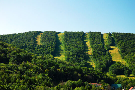 Wide paths in the middle pf a forest shows the ski trails on the mountains in the summer