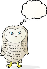 cartoon owl with thought bubble