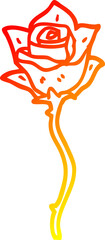 warm gradient line drawing cartoon red rose