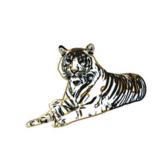 tiger color sketch with transparent background