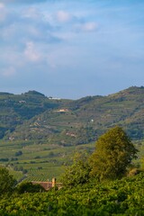 Vertical shot of the beautiful green fields and mountains around the historical Soave city in Italy