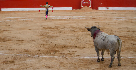 Bullfighter doing bullfight in bullfighter suit