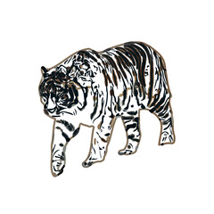 tiger color sketch with transparent background