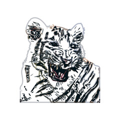 tiger color sketch with transparent background