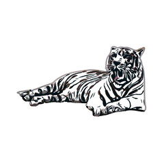 tiger color sketch with transparent background