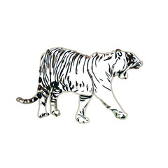 tiger color sketch with transparent background