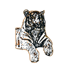 tiger color sketch with transparent background