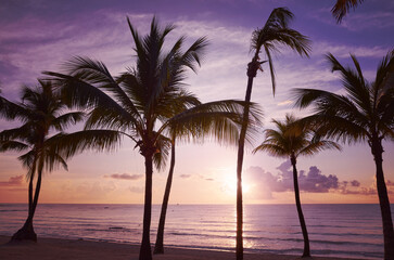 Obraz na płótnie Canvas Tropical beach at purple sunset, color toning applied, Mexico.