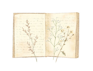 Watercolor vintage composition with old open book and dried flowers isolated on white background. Hand drawn illustration sketch