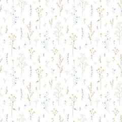 Seamless floral pattern with meadow dried flowers isolated on white background. Watercolor hand drawn illustration sketch