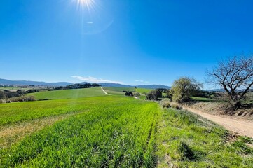 Gallecs 