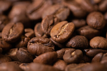 Professional barista preparing coffee. Young woman making coffee. Alternative ways of brewing coffee. Coffee shop concept