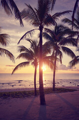 Obraz na płótnie Canvas Tropical beach at sunset, color toning applied, Mexico.