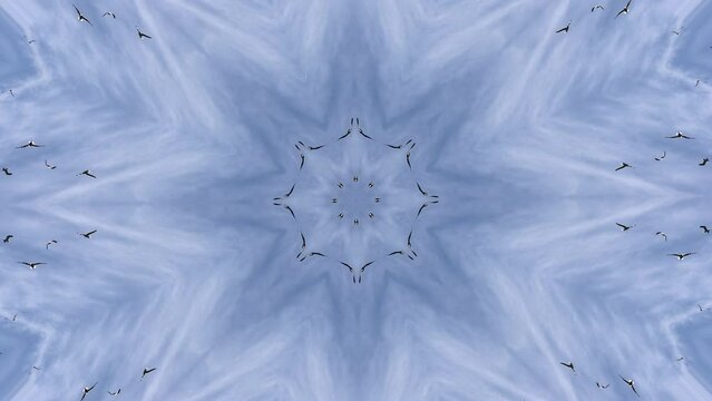 mandala con p&aacute;jaros volando que se integran con el movimiento repetitivo del mandala en colores azul cielo 