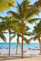 Fototapeta na wymiar Beautiful tropical beach, summer holidays concept, Mexico.