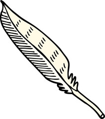 hand drawn doodle style cartoon feather