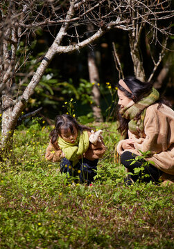 Asian mothers and daughters study plants in outdoor forests

