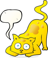speech bubble cartoon cat