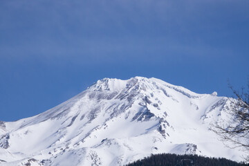 Fototapeta na wymiar Mount Shasta with a winters snow