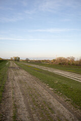 Naklejka premium Beautiful nature dirt road with grass and sunny day with blue sky
