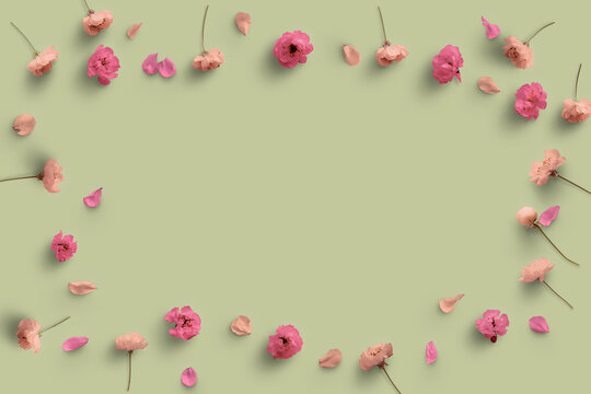 gruppo di fiori di ciliegio sullo sfondo colorato ,con petali  e foglie