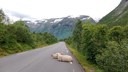 Road in Norway