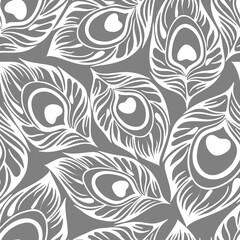 seamless contour pattern of white peacock feathers on a gray background, texture, design