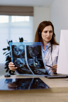 MRI skull scan physician technology diagnostics result 