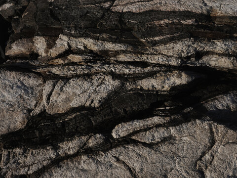 Closeup  black and white texture of stone