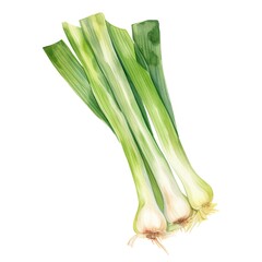 Fresh leek in watercolor style  - Generative AI