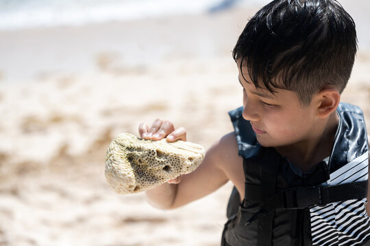 Little kid looking at coral on the beach