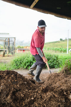 Latino man working on the farm