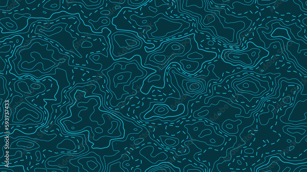 Poster topographic map background. terrain height map generation. grid map. abstract vector illustration.