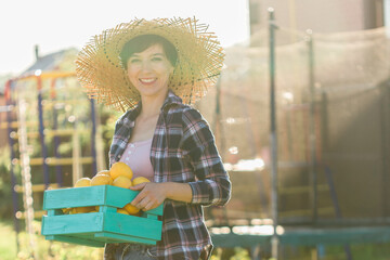 Positive young woman gardener holds box of lemons in her hands during the harvest at her firm copy space. Organic gardening concept